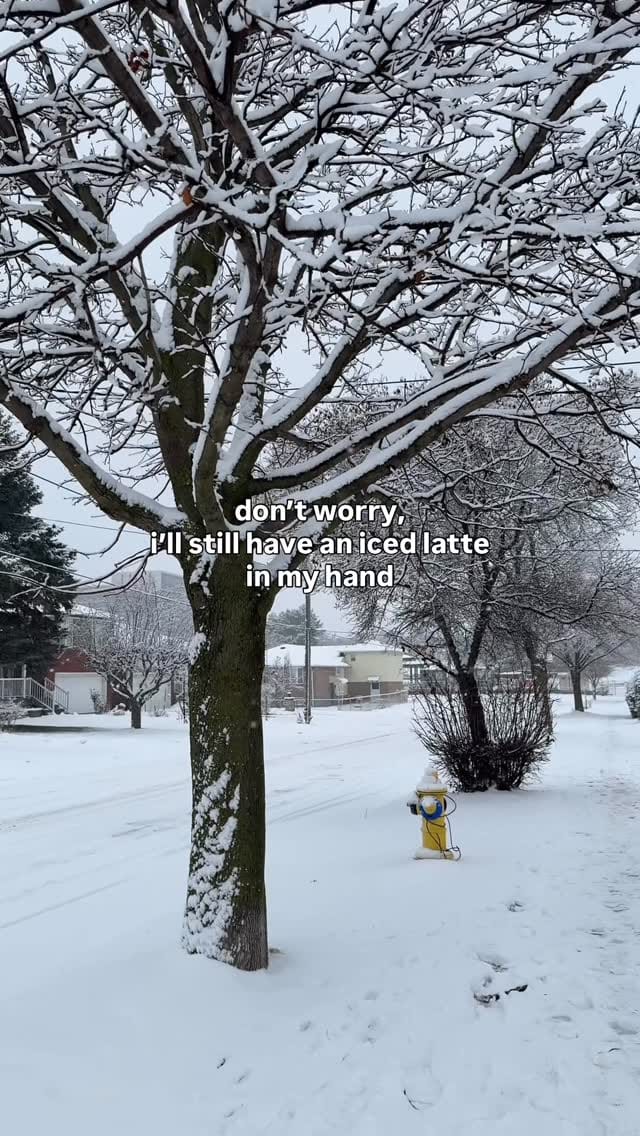 Post 8 by Annelia on Instagram (video)