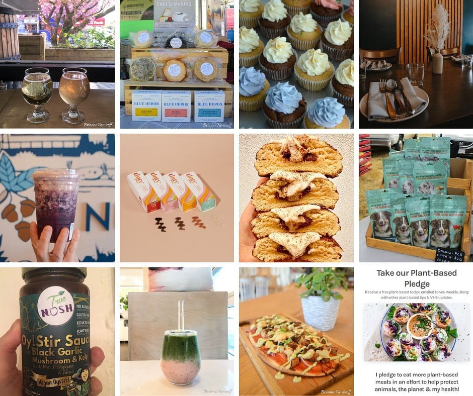 Post 4 by Bree & Ben | Vegan Travel on Instagram (image)