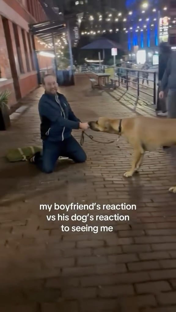 Post 9 by Roman the Great Dane on Instagram (video)