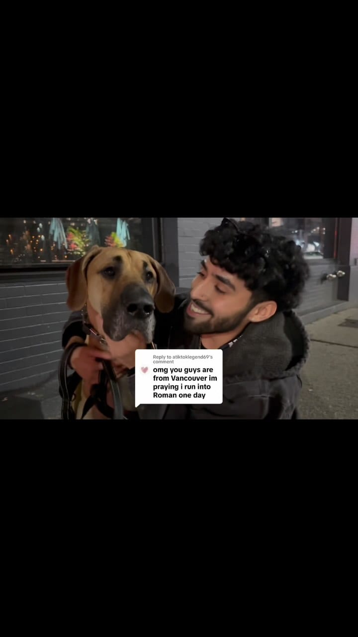 Post 4 by Roman the Great Dane on Instagram (video)