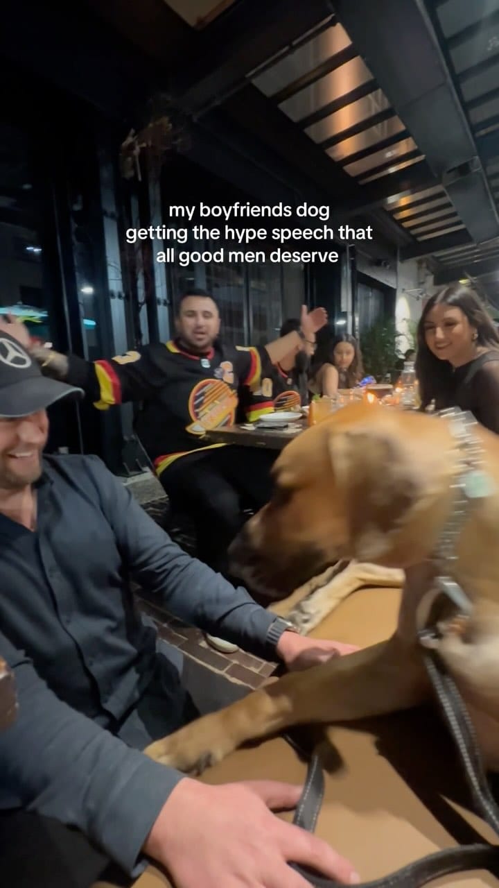 Post 3 by Roman the Great Dane on Instagram (video)