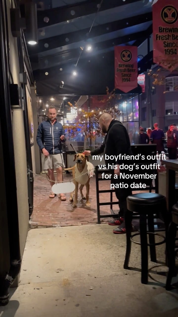 Post 2 by Roman the Great Dane on Instagram (video)