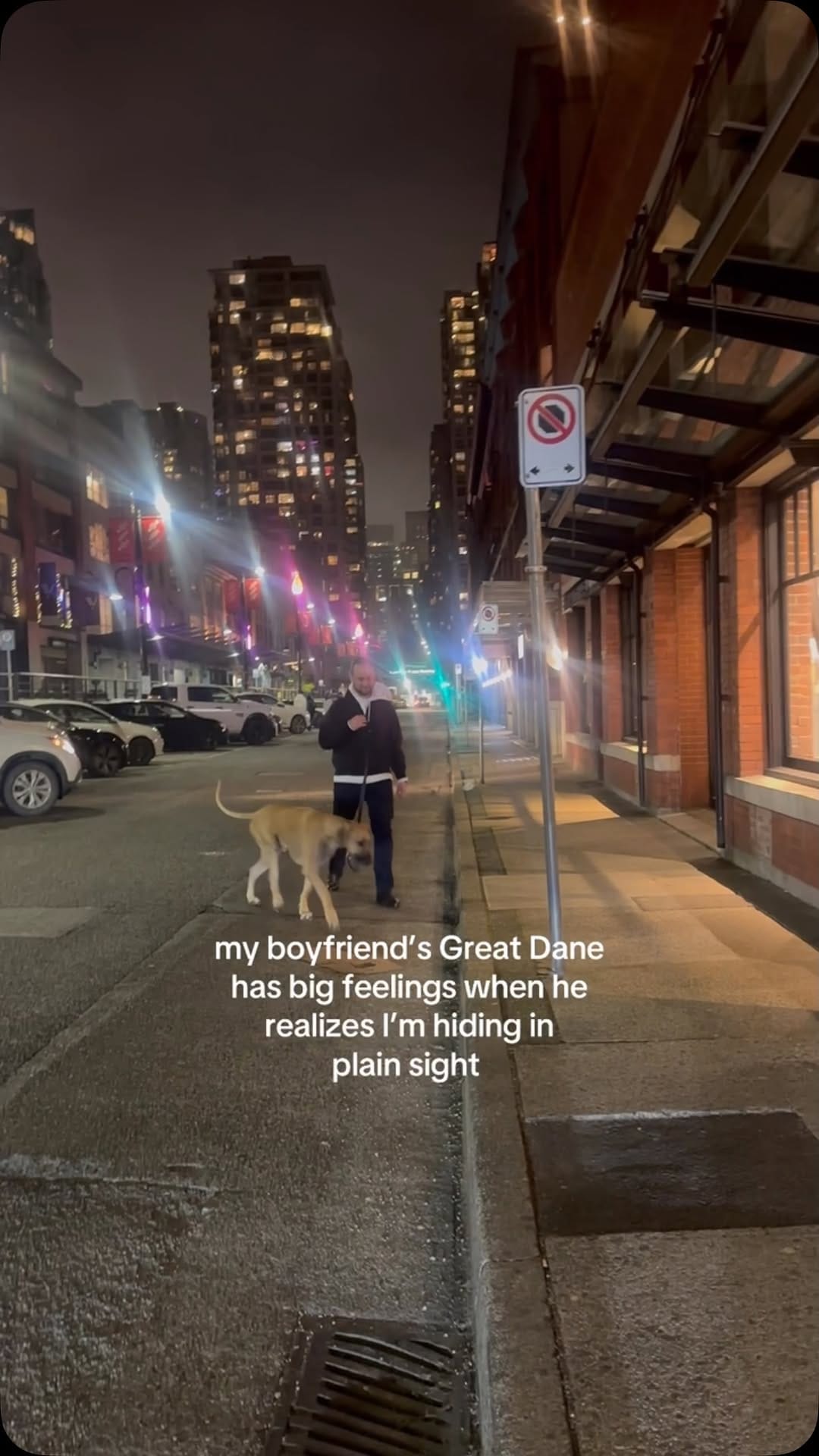 Post 7 by Roman the Great Dane on Instagram (video)
