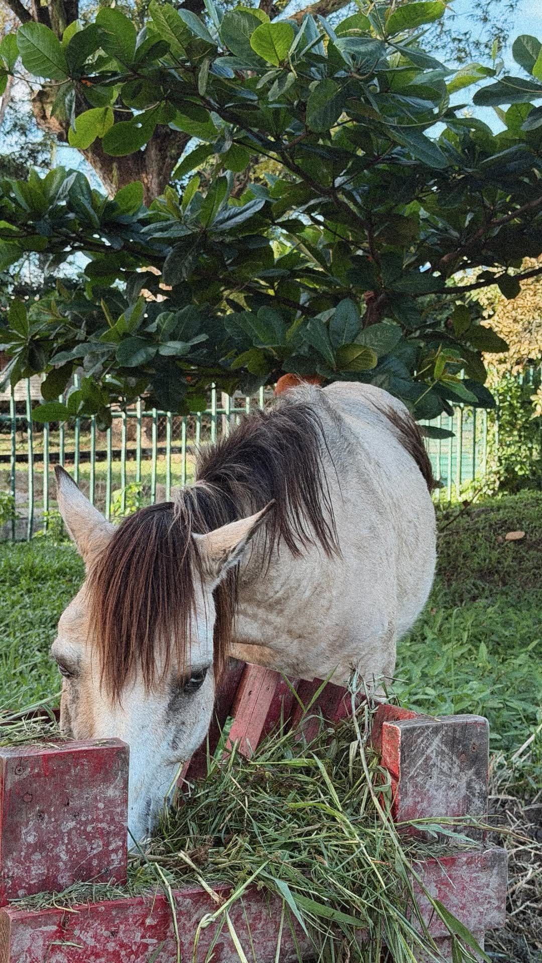 Post 5 by Kelc on Instagram (video)