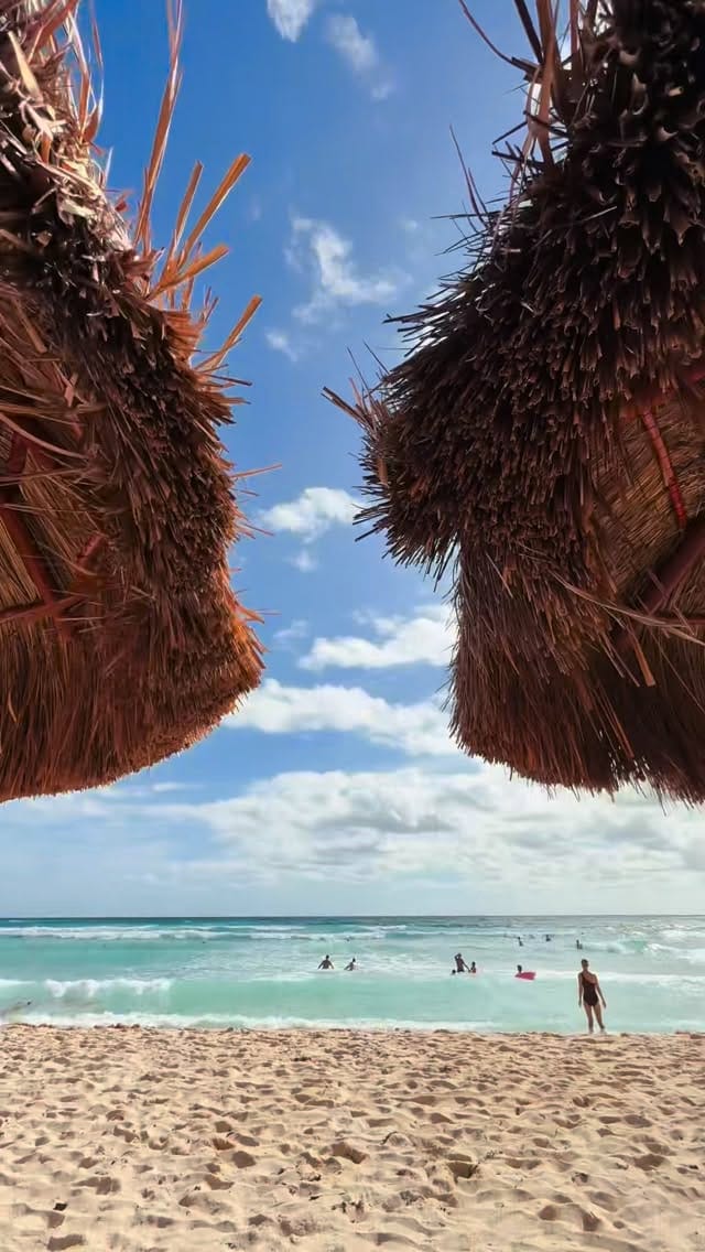 Post 3 by Sabby - Content Creator | Actor on Instagram (video)