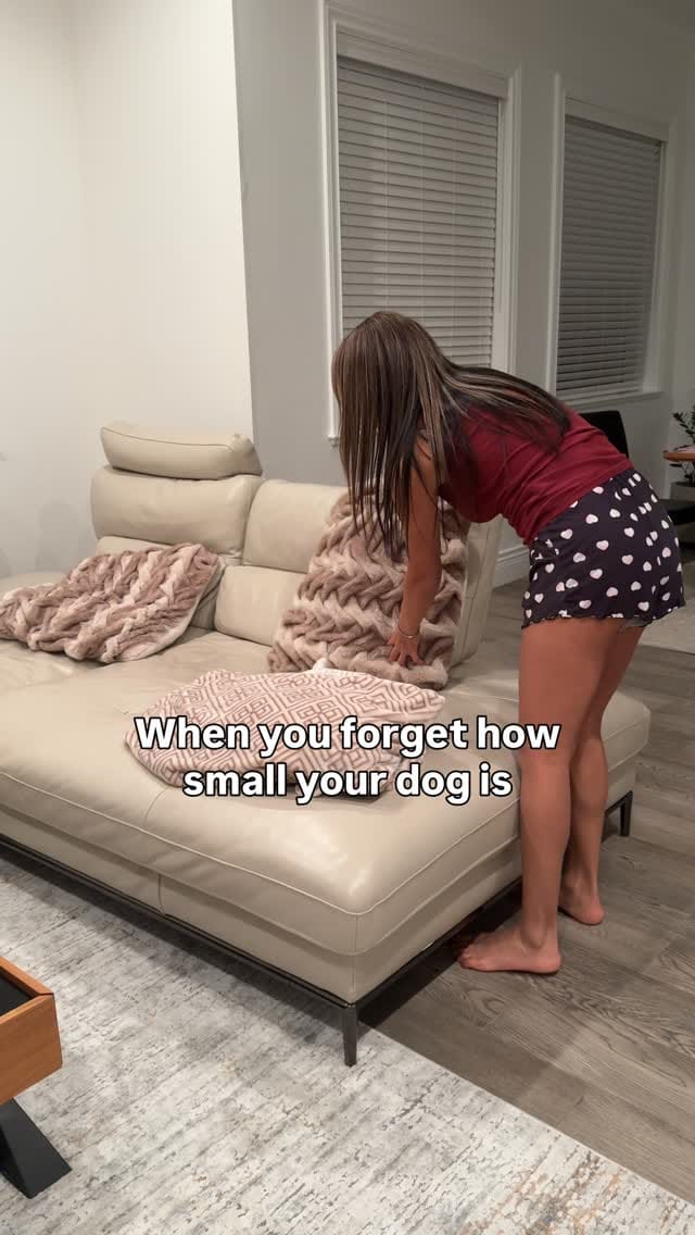 Post 2 by Elnaz Taghvaei on Instagram (video)