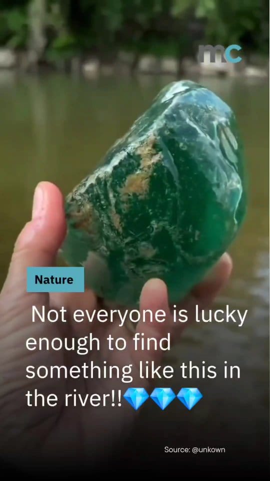 Post 9 by Saman Zohrabi on Instagram (video)