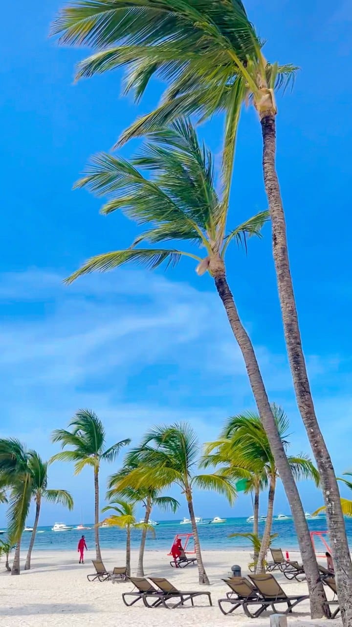 Post 8 by Abbassy Productions on Instagram (video)