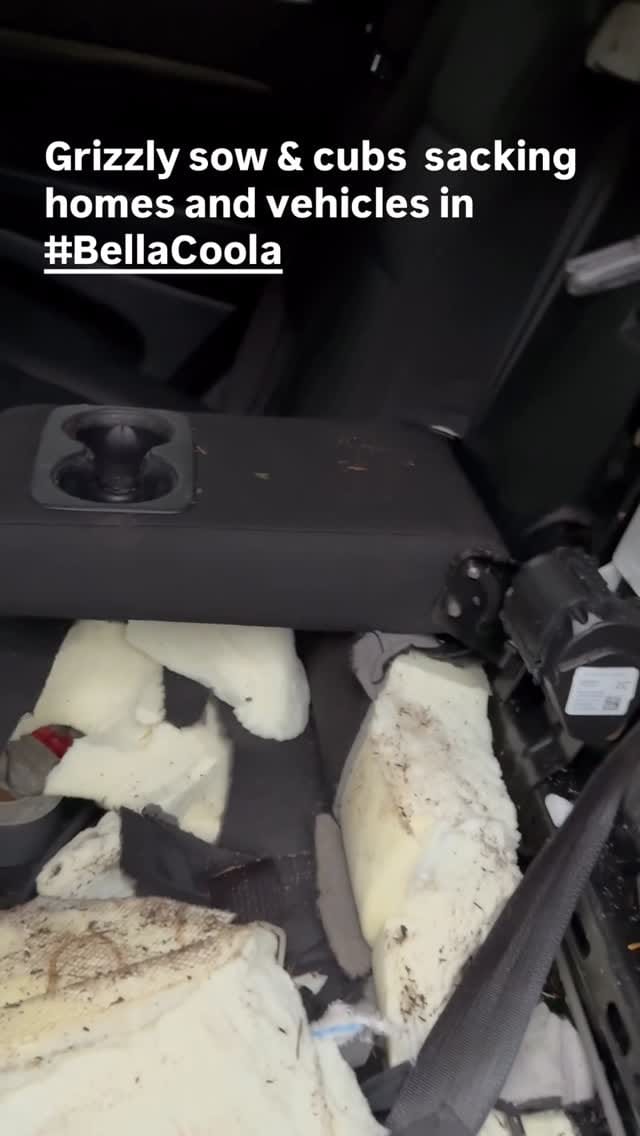 Post 6 by @nusqlst_village on Instagram (video)