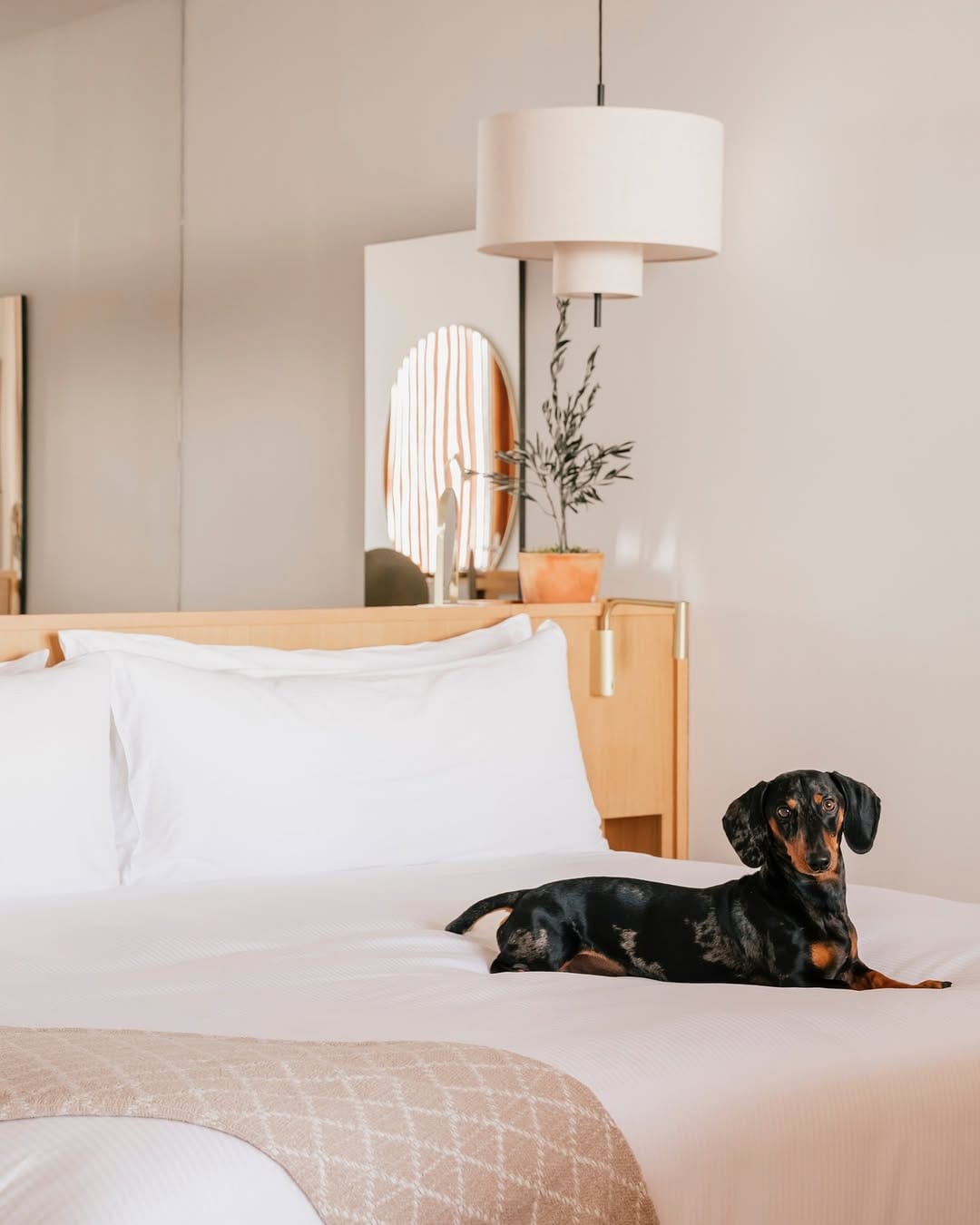 Post 6 by Hotel de Mar, Gran Meliá on Instagram (image)