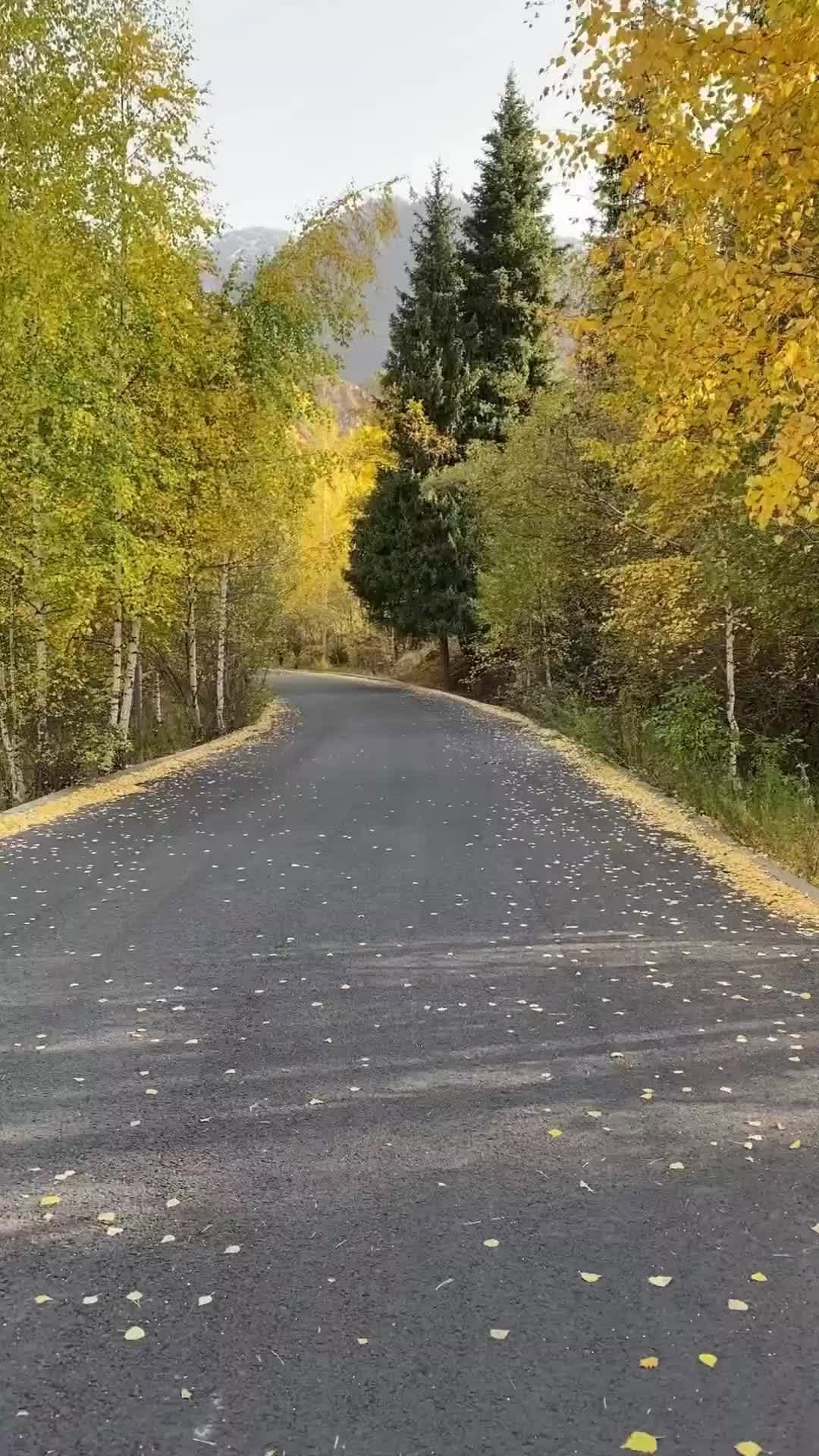 Post 10 by TapeReal.com on Instagram (video)