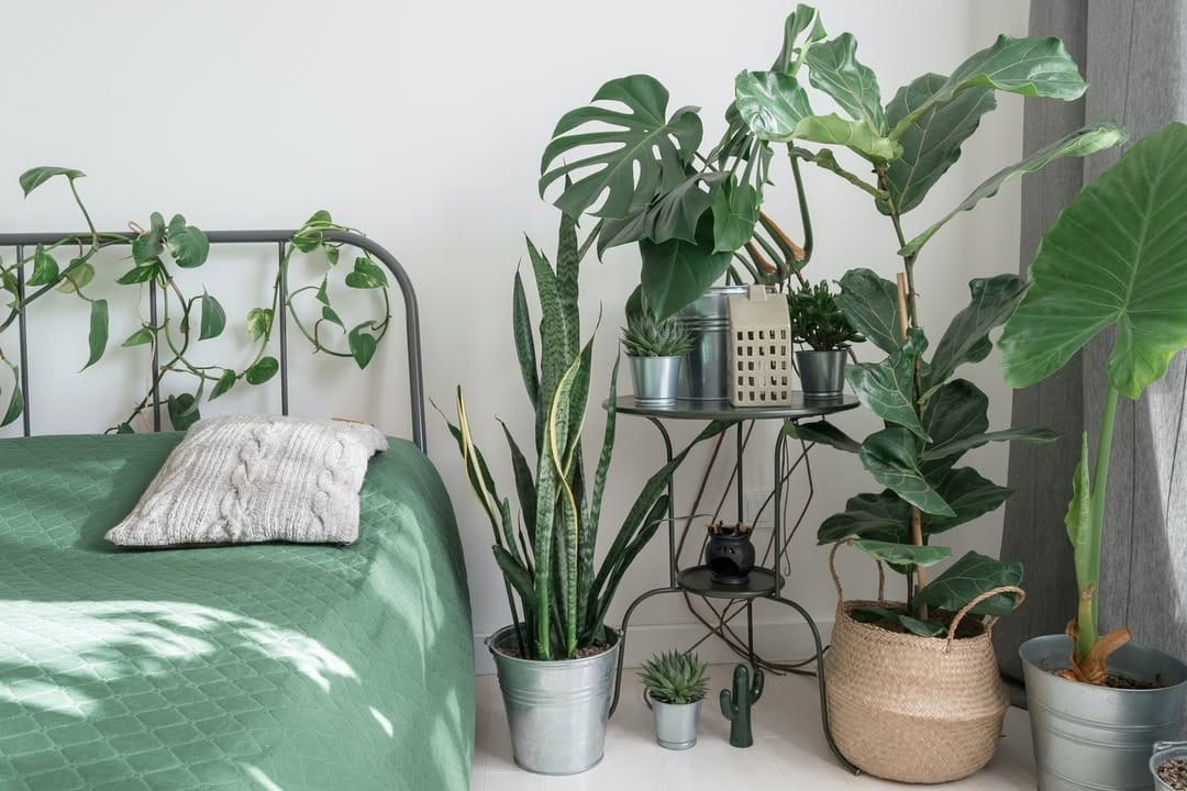 Post 3 by Fleur & Co. on Instagram (image)