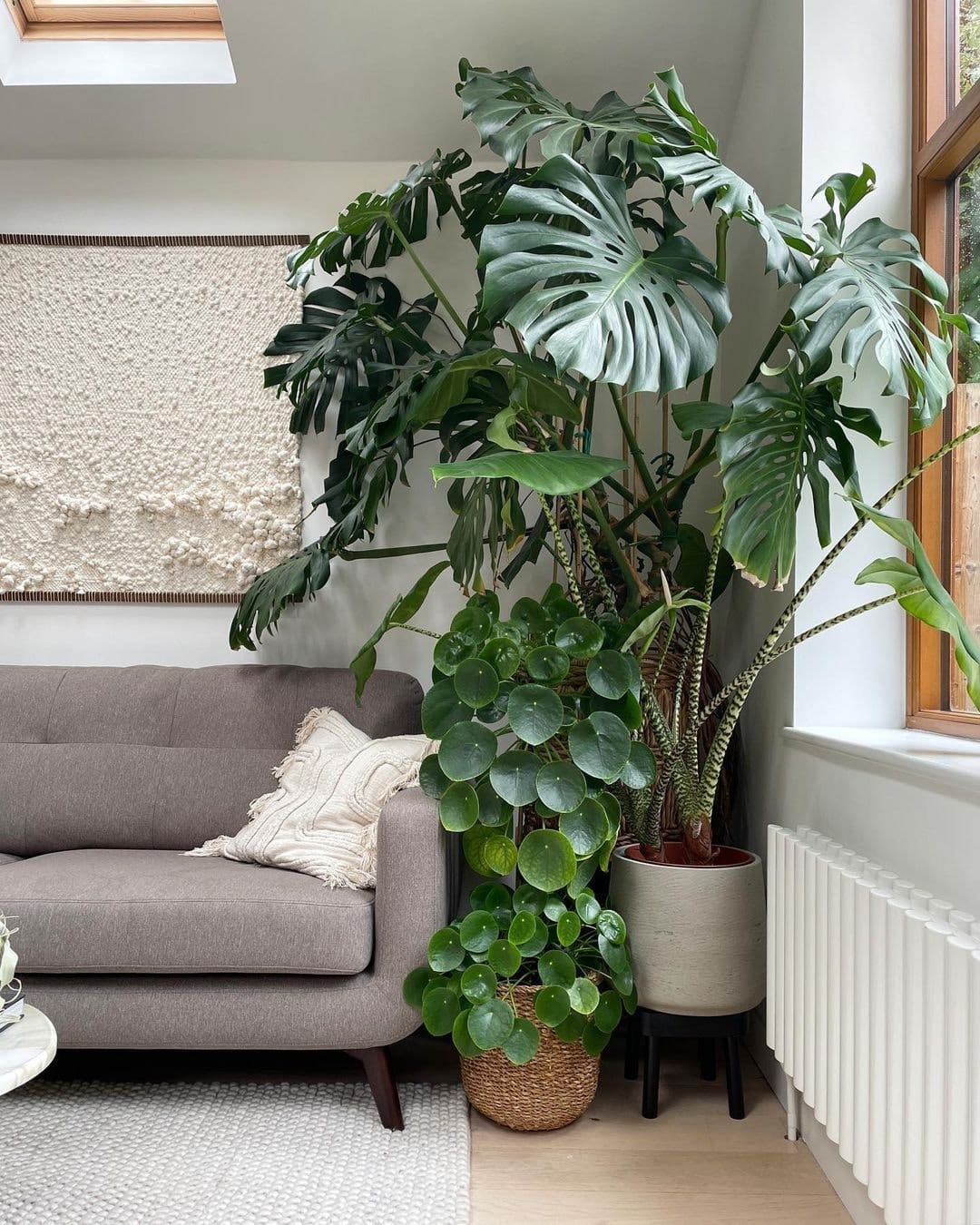 Post 9 by Fleur & Co. on Instagram (image)