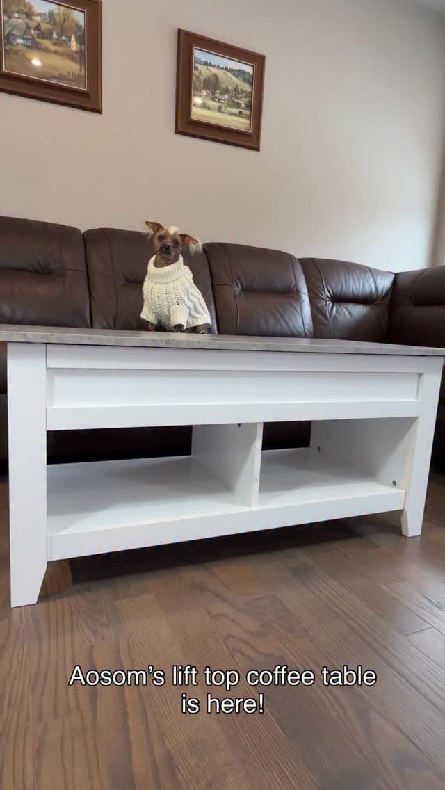 Post 8 by Aosom Canada on Instagram (video)