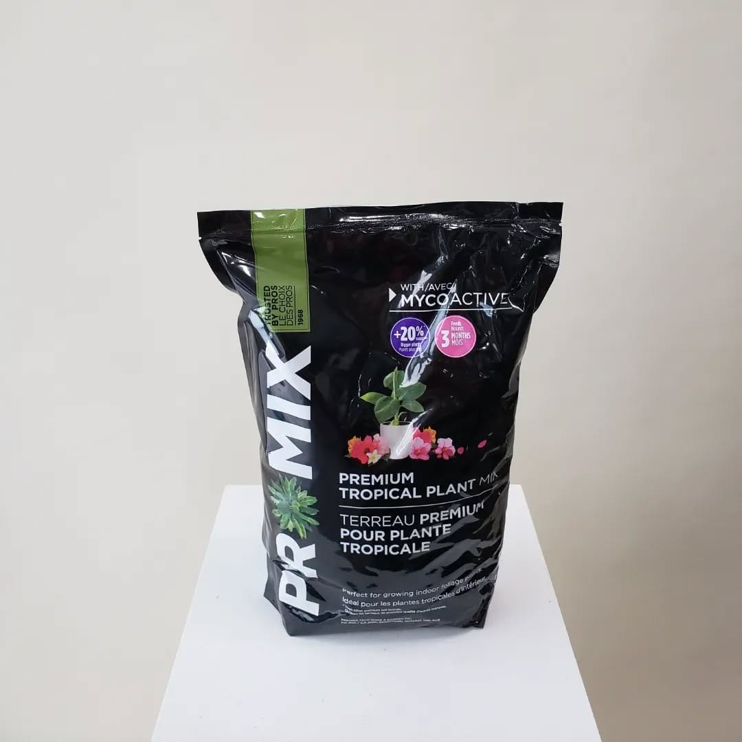 Post 10 by Plants|Orchids|Pots|Plant Accessories on Instagram (carousel)