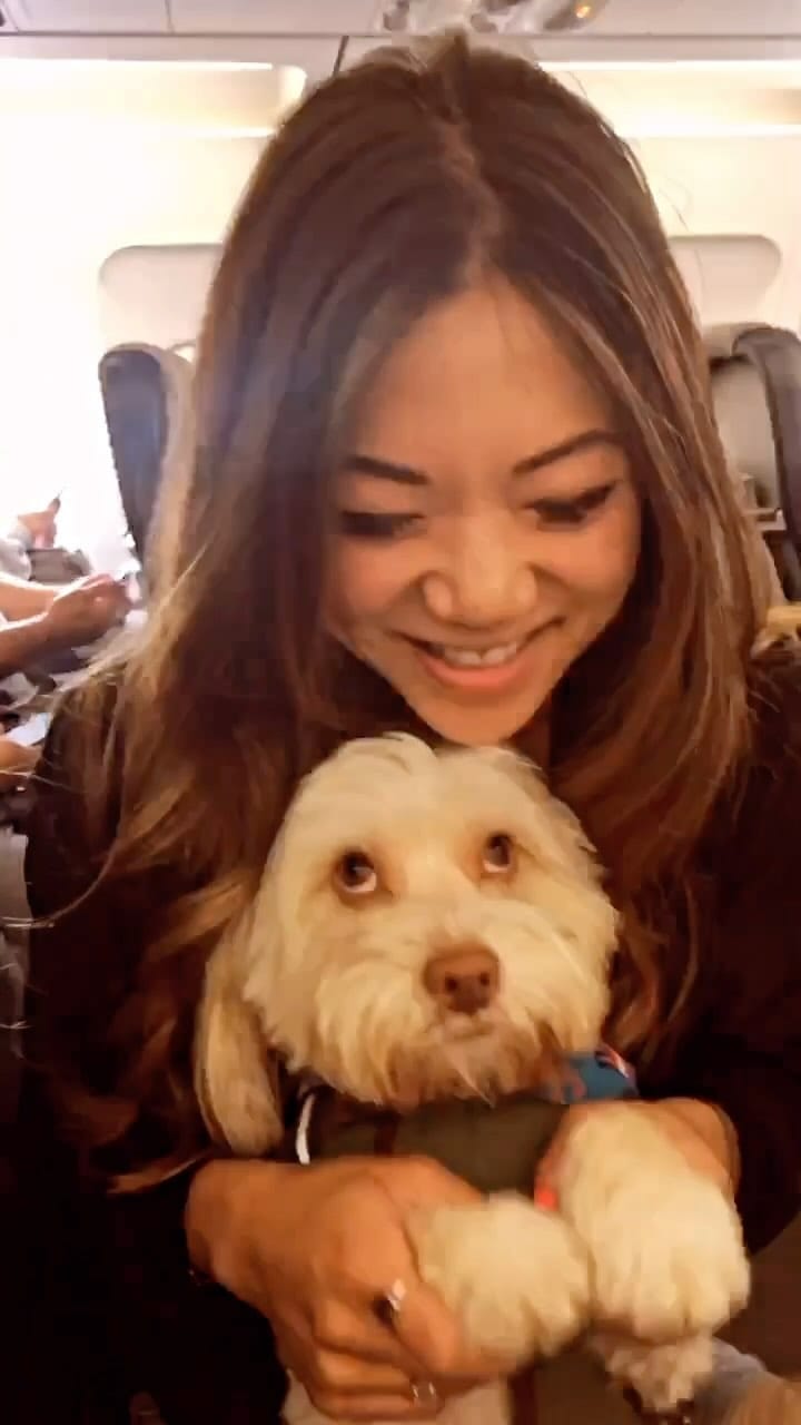 Post 9 by GoDoggo App - Dog-friendly Map on Instagram (video)