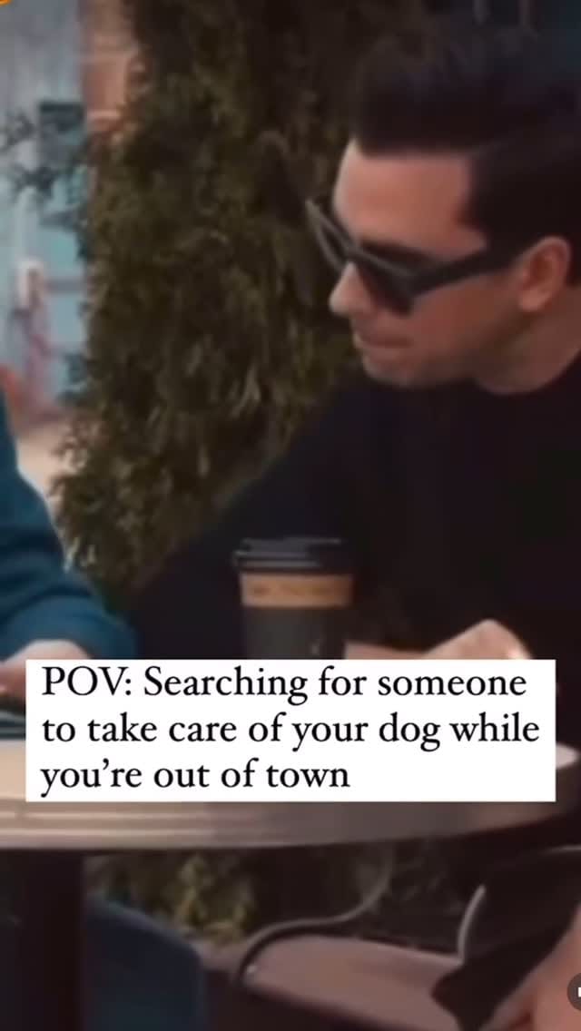 Post 5 by GoDoggo App - Dog-friendly Map on Instagram (video)