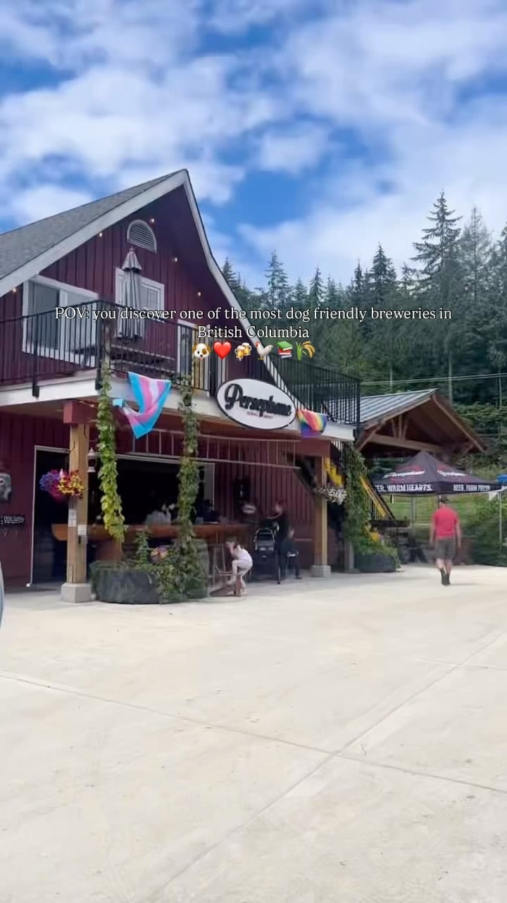 Post 4 by GoDoggo App - Dog-friendly Map on Instagram (video)
