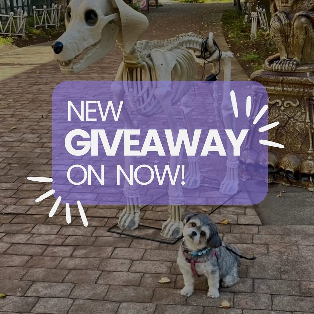 Post 1 by GoDoggo App - Dog-friendly Map on Instagram (carousel)