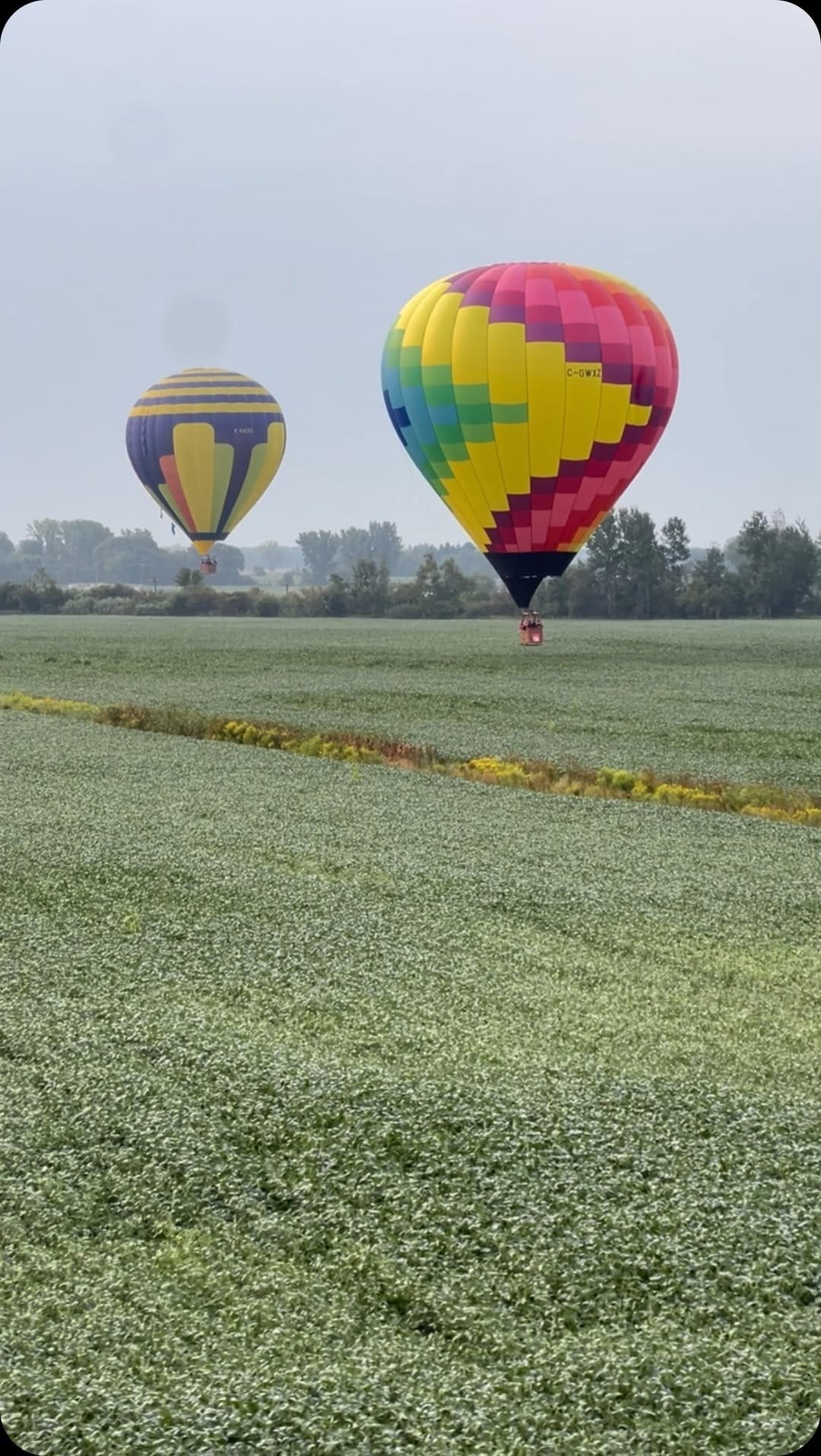 Post 4 by Jason Baxter on Instagram (video)
