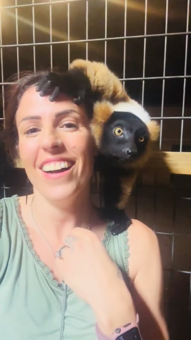 Post 1 by Michelle Salt on Instagram (video)