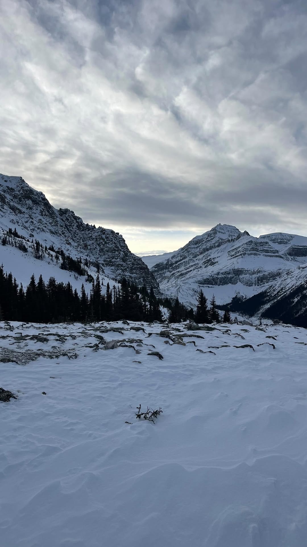 Post 10 by Brady Leman on Instagram (video)