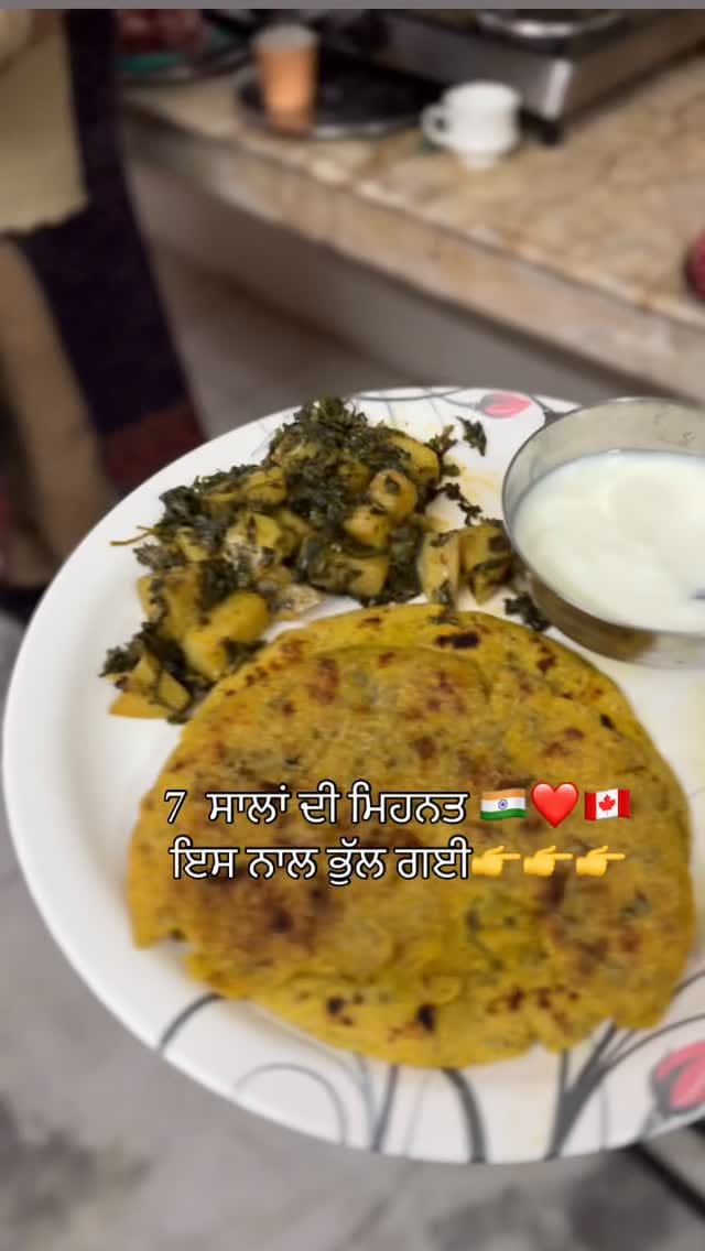 Post 6 by Taranpreet Singh Gulati on Instagram (video)