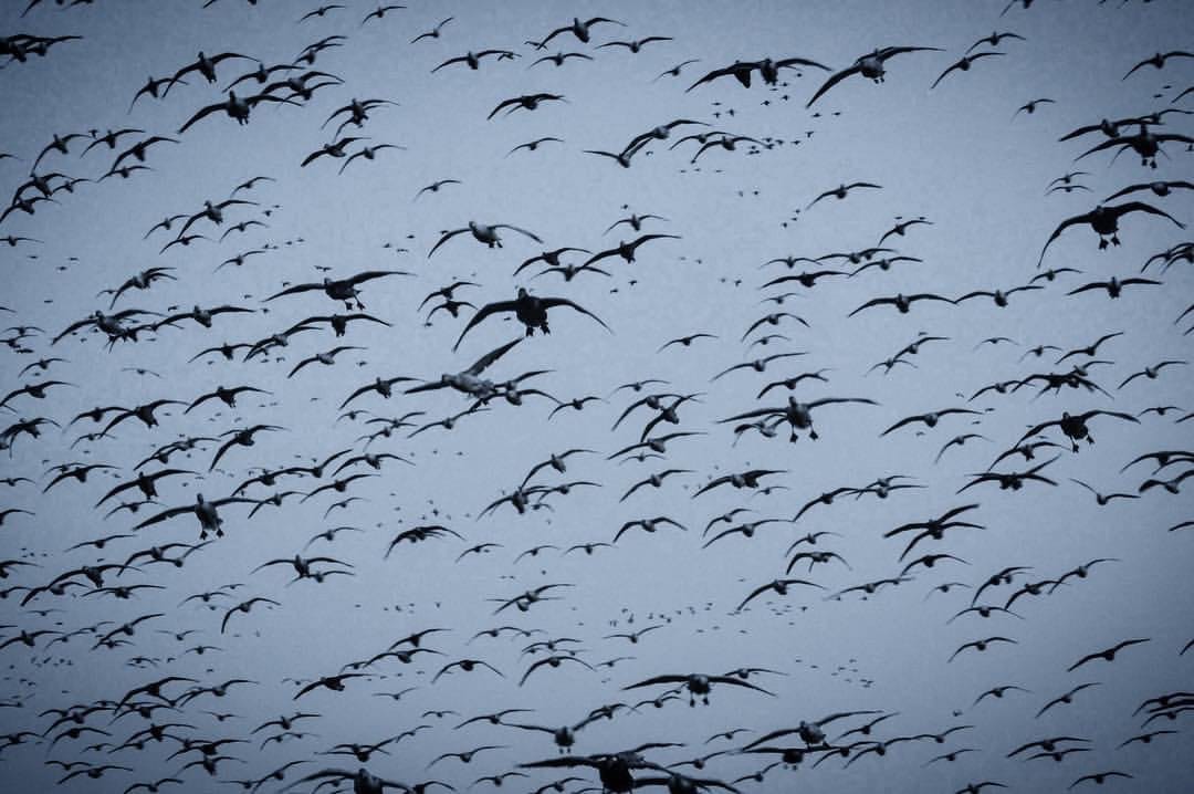 Post 5 by Paul Shirley on Instagram (image)
