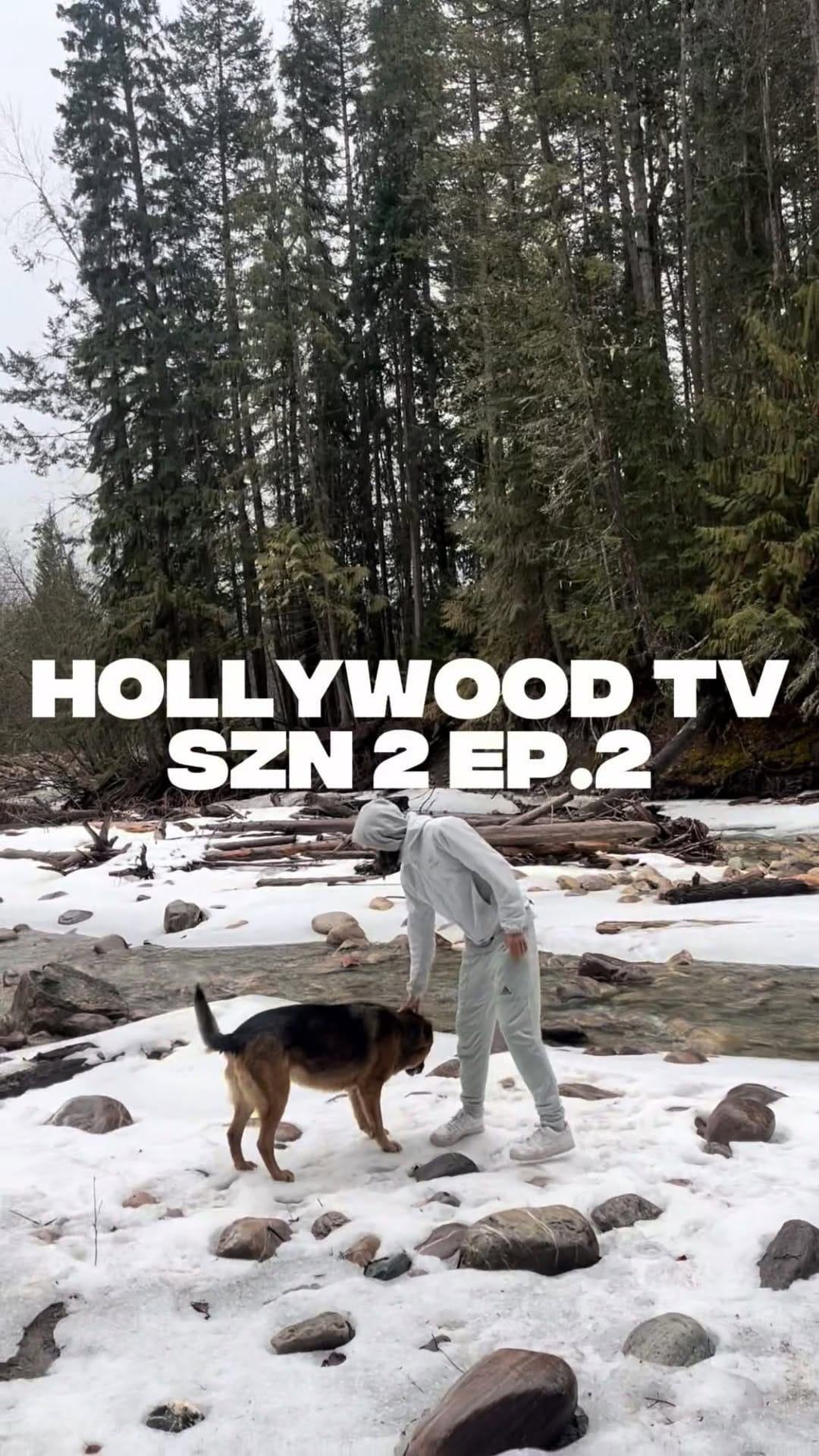 Post 6 by HOLLYWOOD 💫 on Instagram (video)