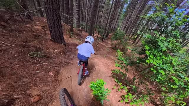 Post 4 by William Curry on Instagram (video)