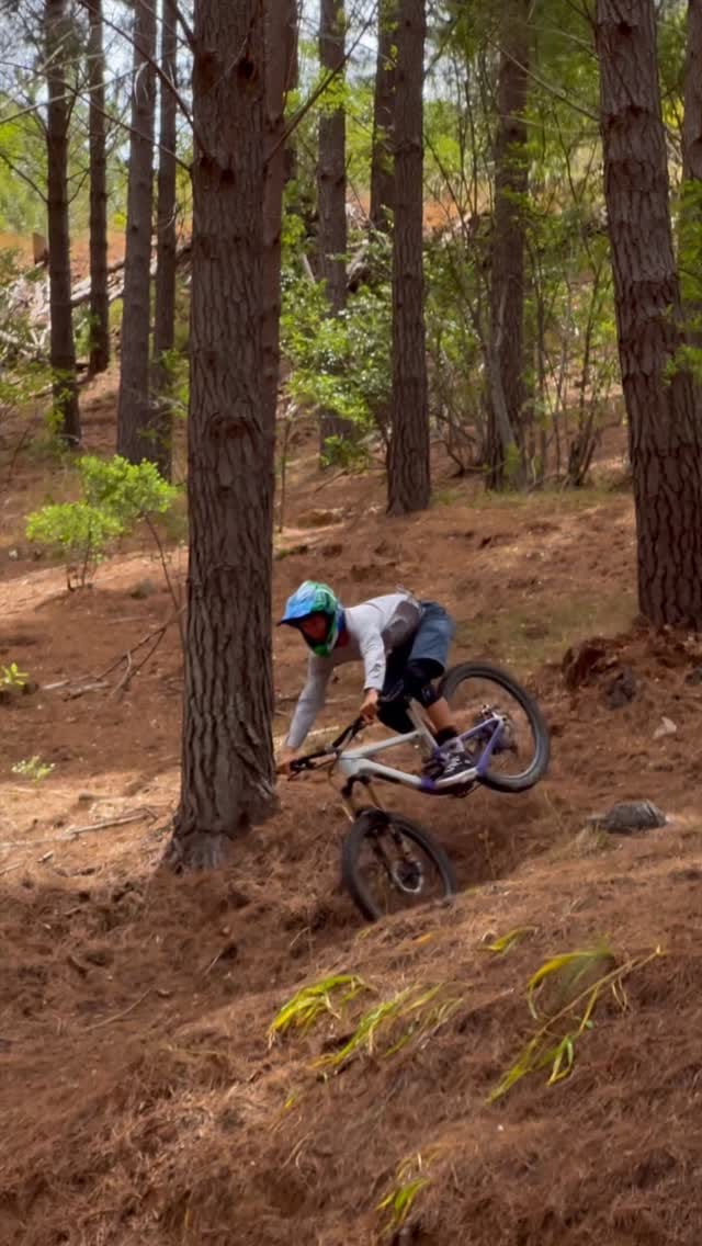 Post 6 by William Curry on Instagram (video)