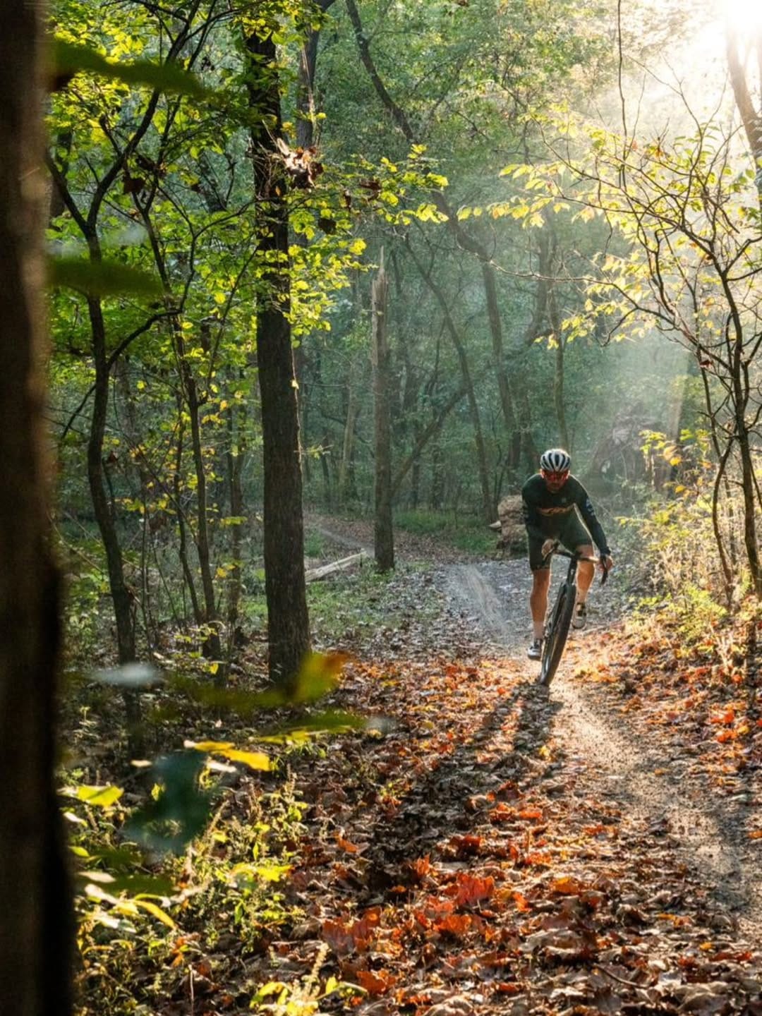 Post 2 by Michael van den Ham on Instagram (image)