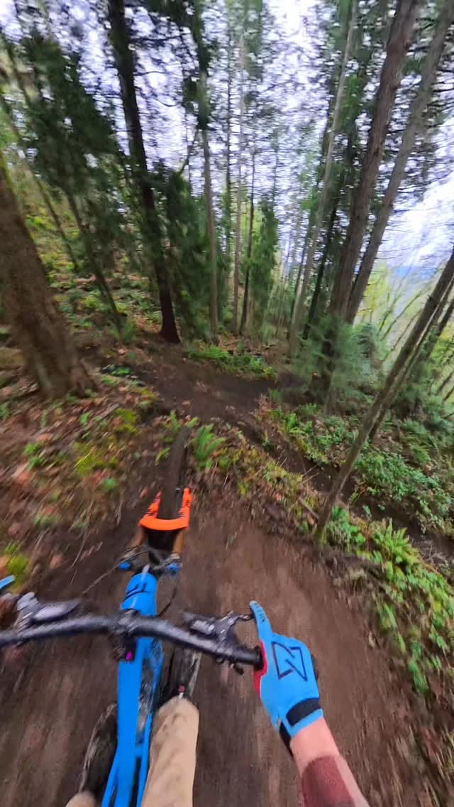 Post 5 by Everett on Instagram (video)