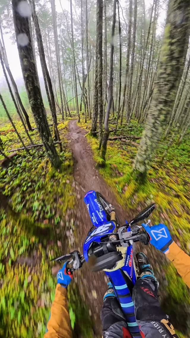 Post 7 by Everett on Instagram (video)