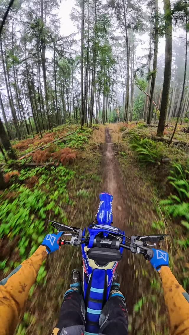 Post 3 by Everett on Instagram (video)