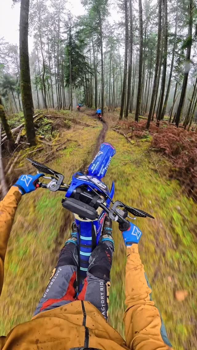 Post 2 by Everett on Instagram (video)