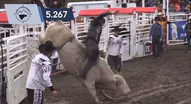 Post 5 by Brock Radford on Instagram (video)