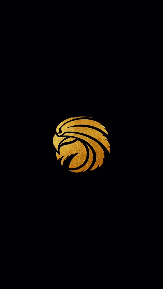 Post 6 by Konsta Kurikka on Instagram (video)