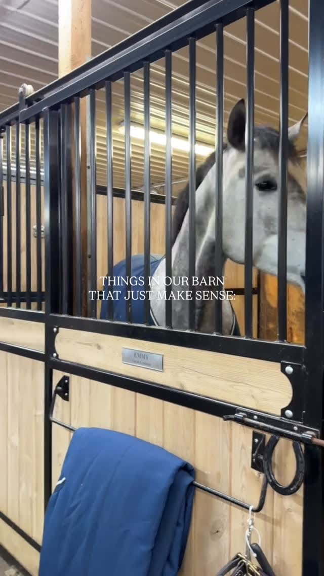 Post 2 by Fox & Oak Farm | Taylor Brooks on Instagram (video)