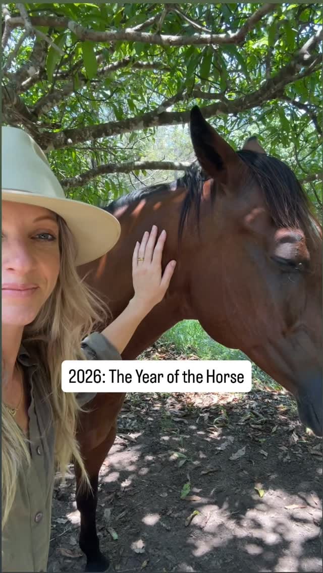 Post 4 by Tara Hegerty | Kinesiology + Akashic Records on Instagram (video)