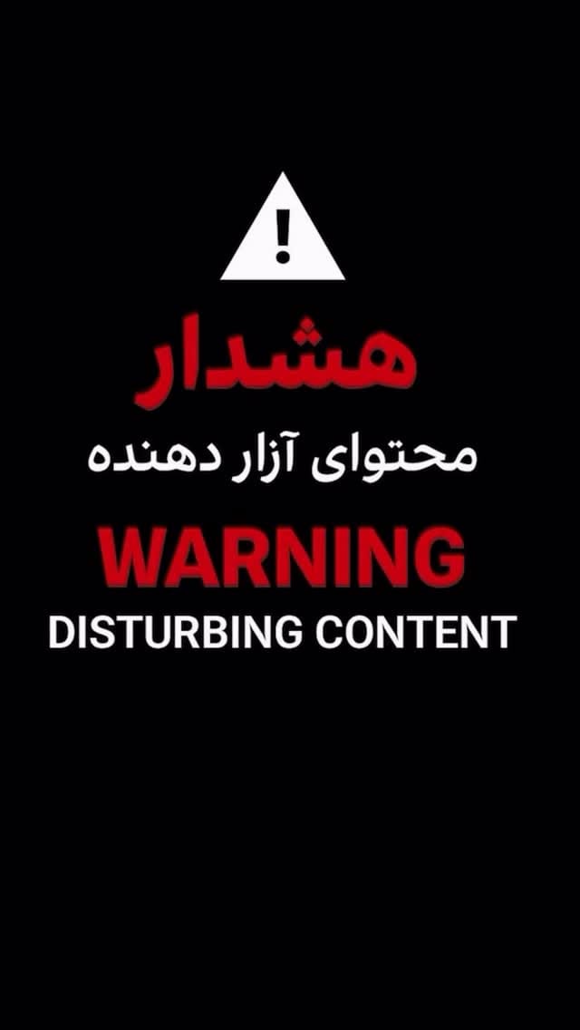 Post 8 by Sepideh Faraji on Instagram (video)