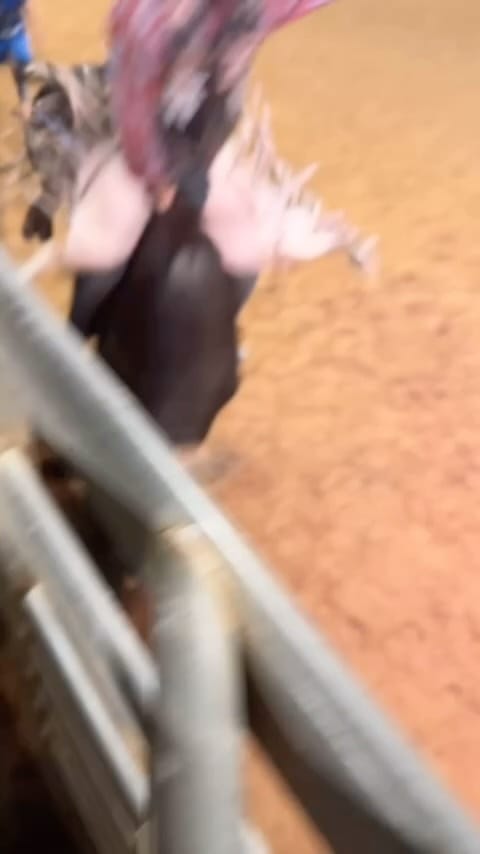 Post 7 by Lane Mellers on Instagram (video)