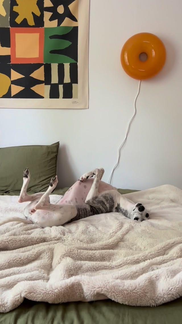Post 1 by Maddie & Souki on Instagram (video)