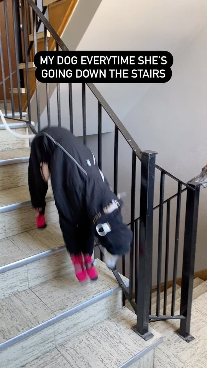 Post 9 by Maddie & Souki on Instagram (video)