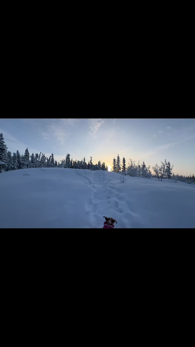 Post 6 by Laura Perry on Instagram (video)
