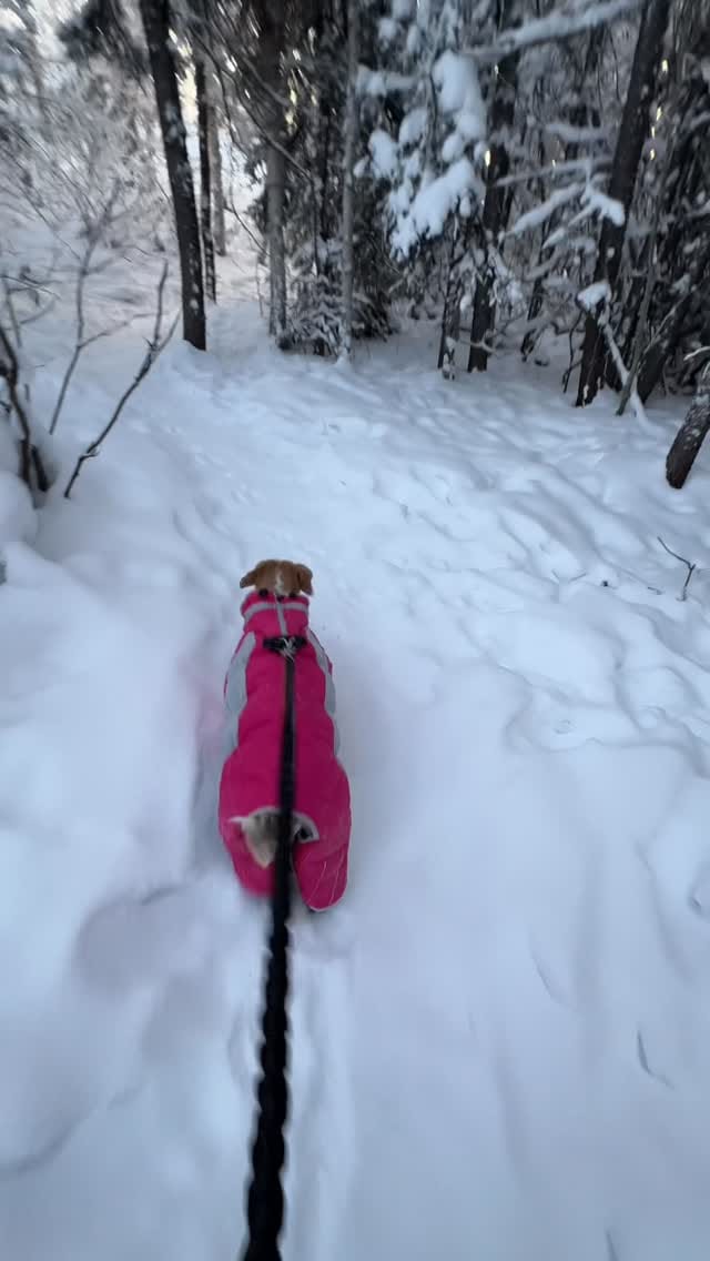 Post 7 by Laura Perry on Instagram (video)