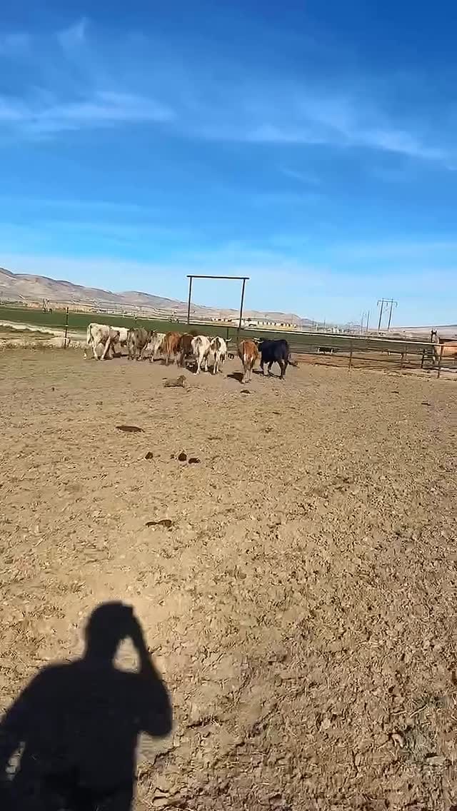 Post 4 by Stetson Jorgensen on Instagram (video)