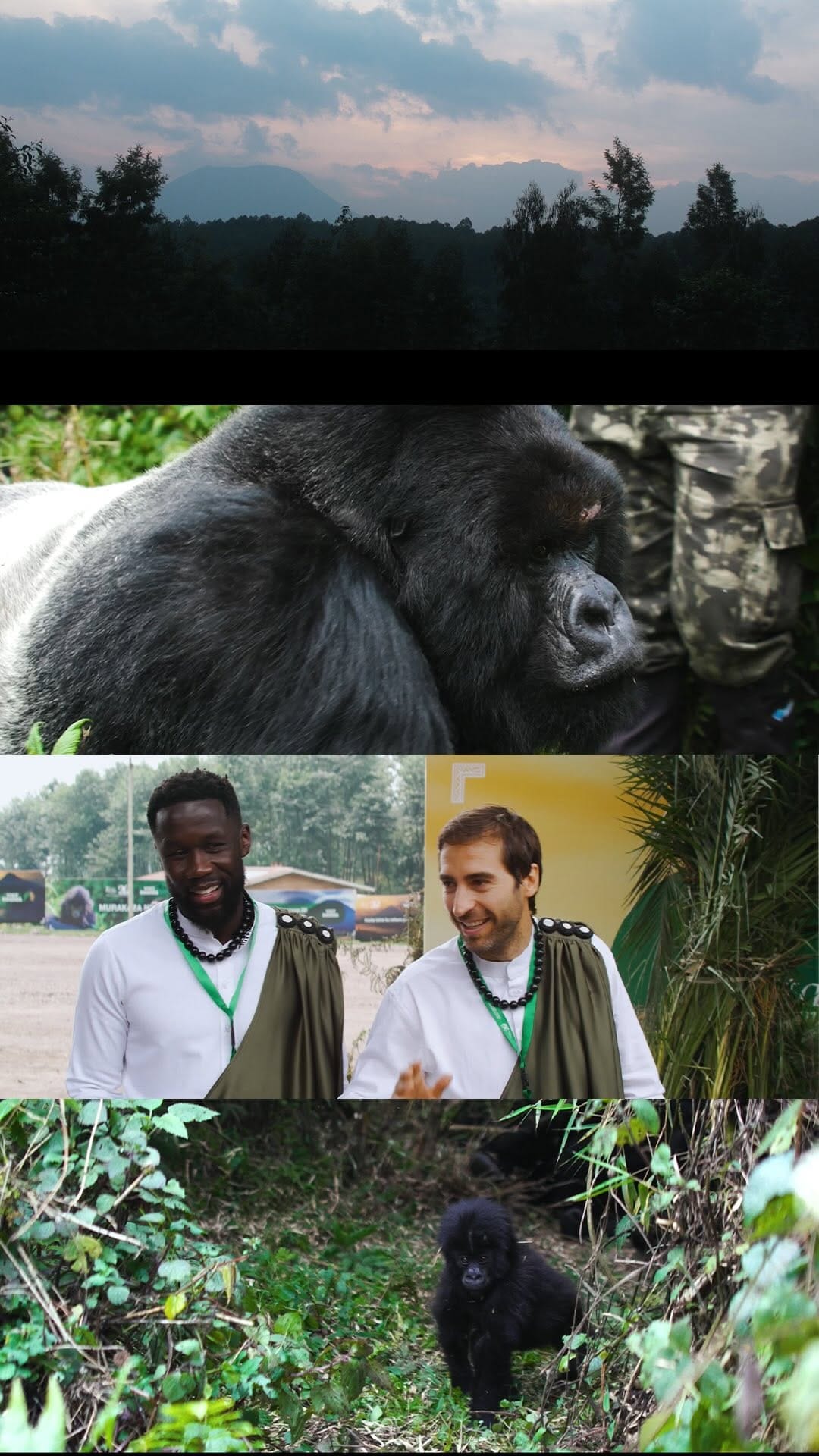 Post 7 by Bacary Sagna on Instagram (video)