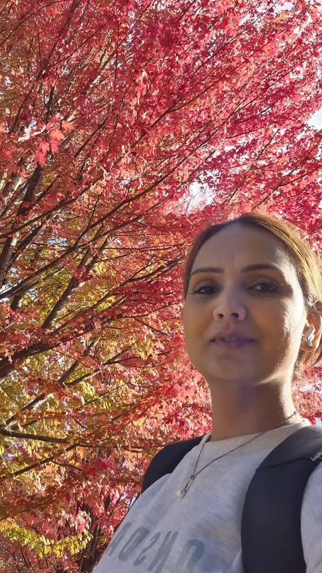 Post 6 by Sandy☮ on Instagram (video)