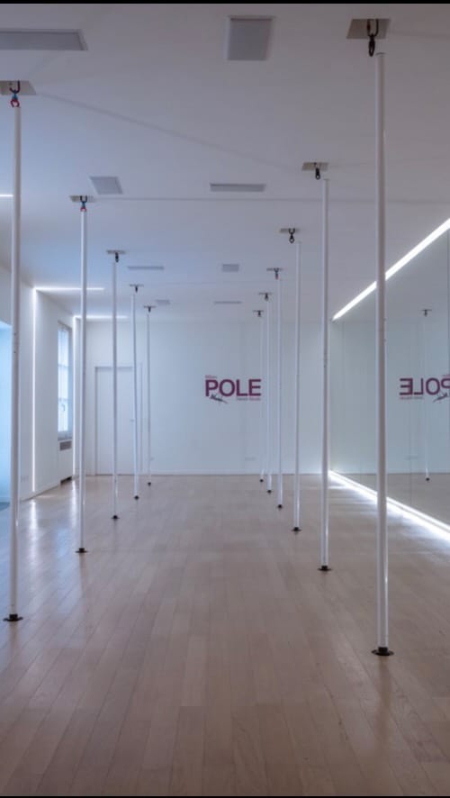 Post 9 by Milan Pole Dance Studio on Instagram (video)